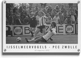 Walljar - Ijsselmeervogels - PEC Zwolle '73 - Muurdecoratie - Plexiglas schilderij