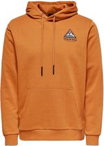 Only & Sons Trui Onsben Life Reg Logo Hoodie Sweat C 22021470 Pumpkin Spice Mannen Maat - L