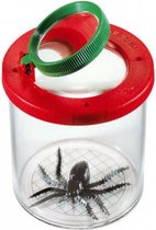 insectenpot met spin junior 7,5 cm transparant 2-delig