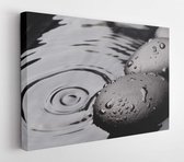 Canvas schilderij - Zen stones on wet black background  -     176962433 - 50*40 Horizontal