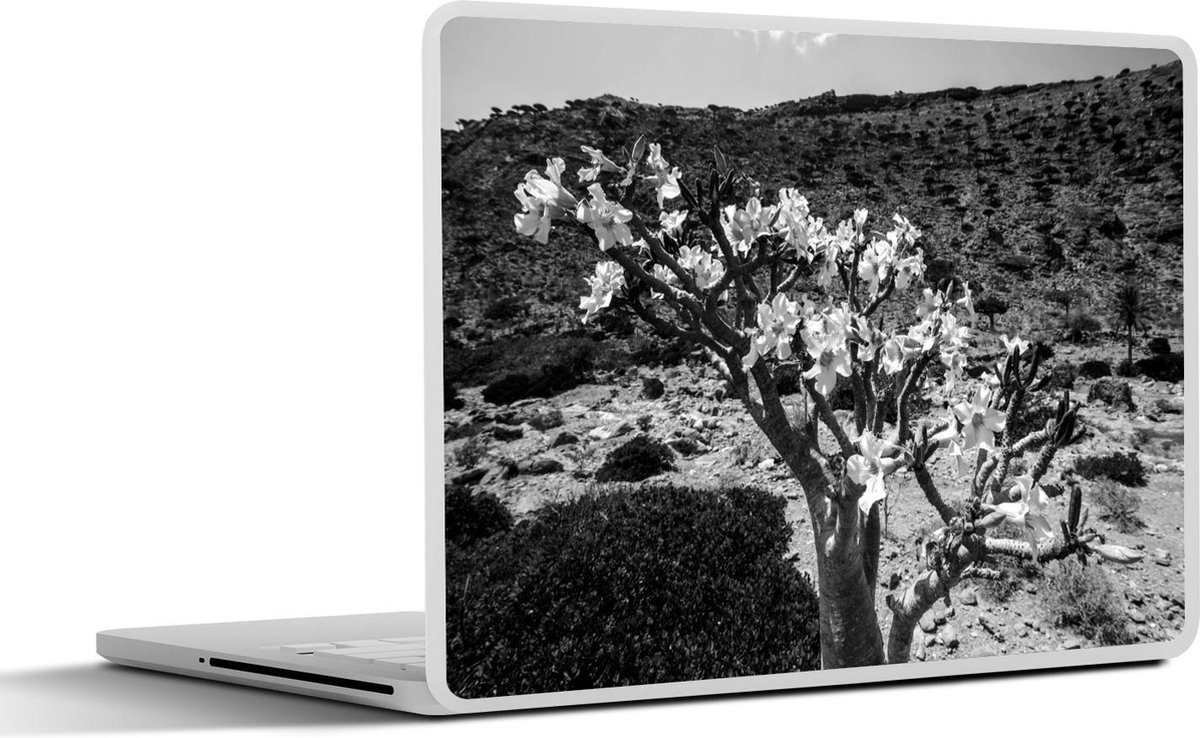 Afbeelding van product SleevesAndCases  Laptop sticker - 15.6 inch - Woestijnroos bij Socotra eiland in het Midden-Oosten - zwart wit