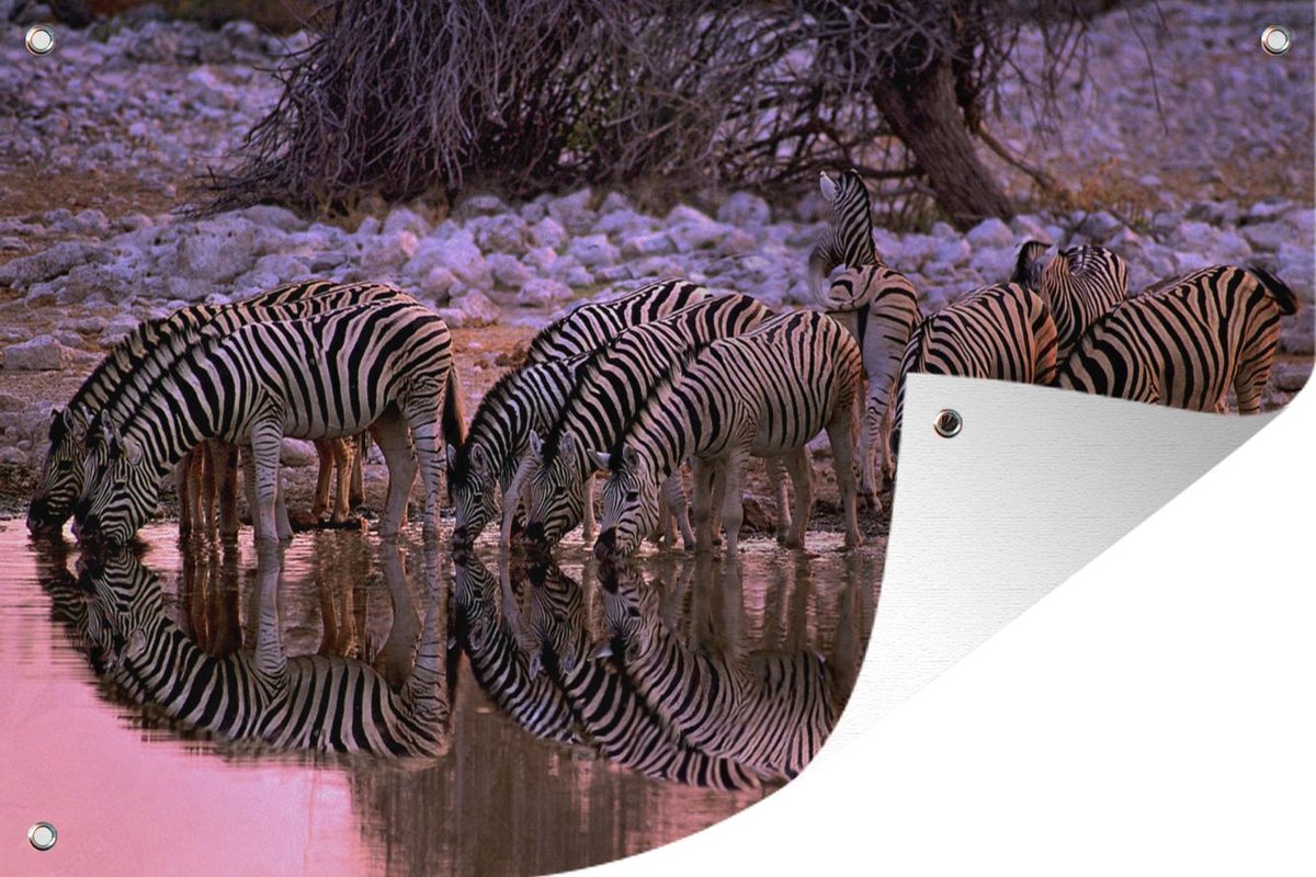Tuinposters buiten Drinkende zebra's - 90x60 cm - Tuindoek