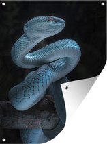 Affiche jardin - Toile jardin - Affiches jardin extérieur - Tuyau bleu - Posters de jardin cm - Jardin