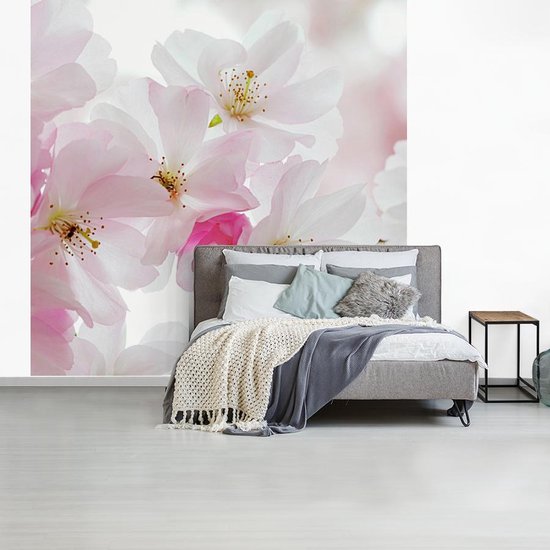 Papier peint photo vinyle - Macro photo de fleur de cerisier largeur 240 cm x hauteur 240 cm - Tirage photo sur papier peint (disponible en 7 tailles)
