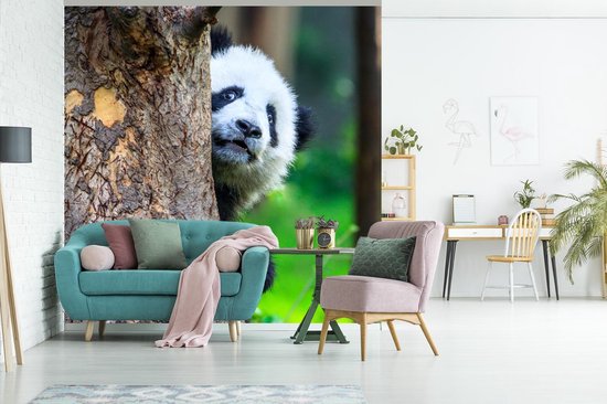 Papier peint - Papier peint photo Panda - Arbre - Forêt - Largeur 300 cm x Hauteur 300 cm
