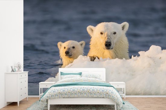 L'ours polaire et le grizzly font des bébés ensemble !