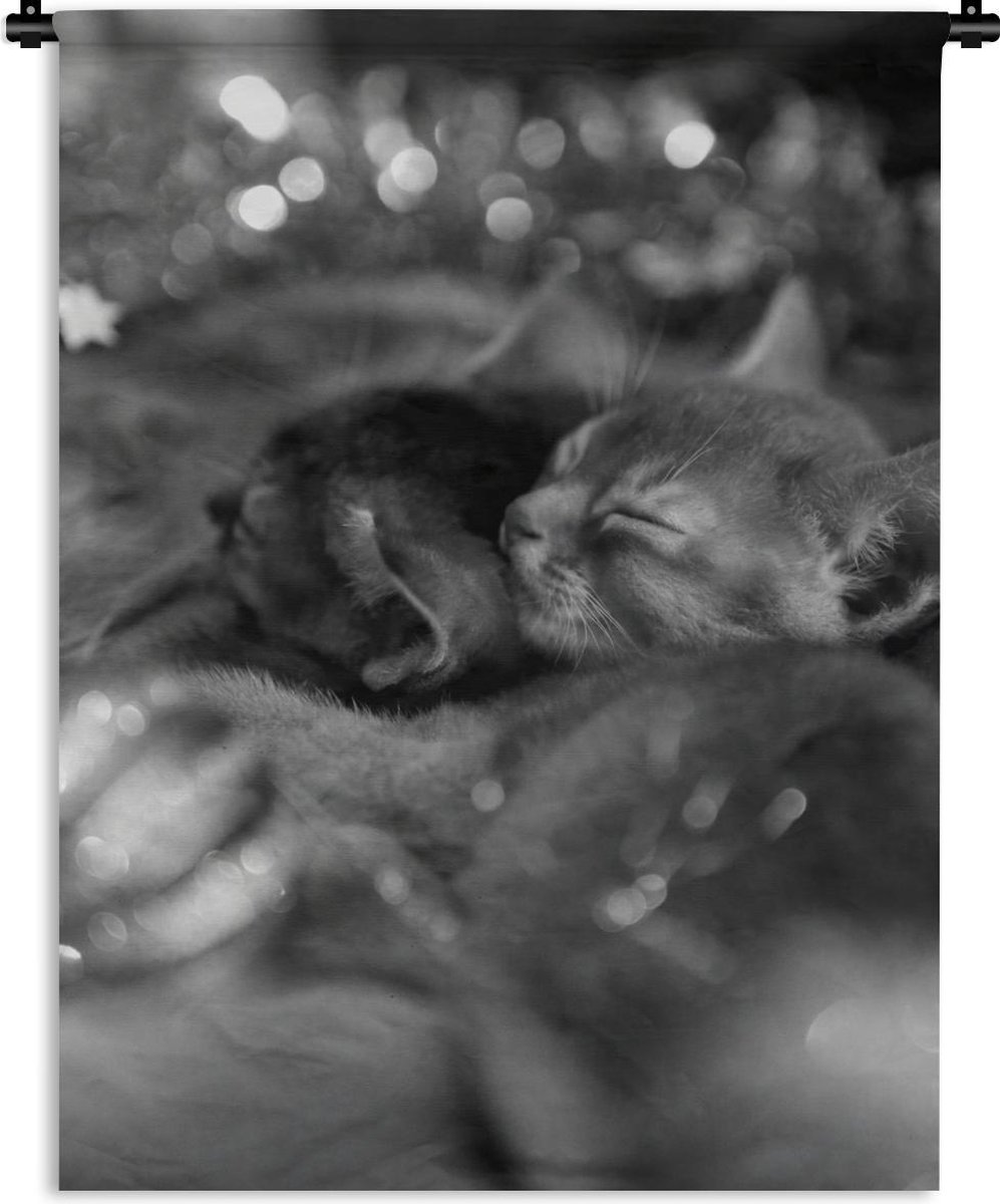 Calendrier De L’Avent Chats 2025 – 24 Pendentifs Acrylique, Décorations Sapin – Pour Enfants Et Adultes