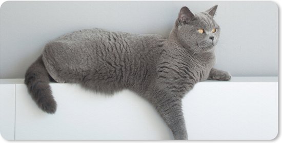 Tapis de bureau 80 x 40 cm - Tapis de souris Chat - British Shorthair - Grijs - Filles - Enfants - Garçons - Tapis de bureau XL - Protection de bureau - Tapis de souris Kids' Ordinateur