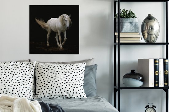 Cheval Wit devant une toile fond noir 2cm 50x50 cm - impression photo sur toile peinture Décoration murale salon / chambre à coucher) / Animaux sauvages Peintures Toile