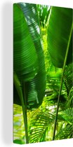 Canvas Schilderij Tropische bladeren in jungle fotoprint - 20x40 cm - Wanddecoratie
