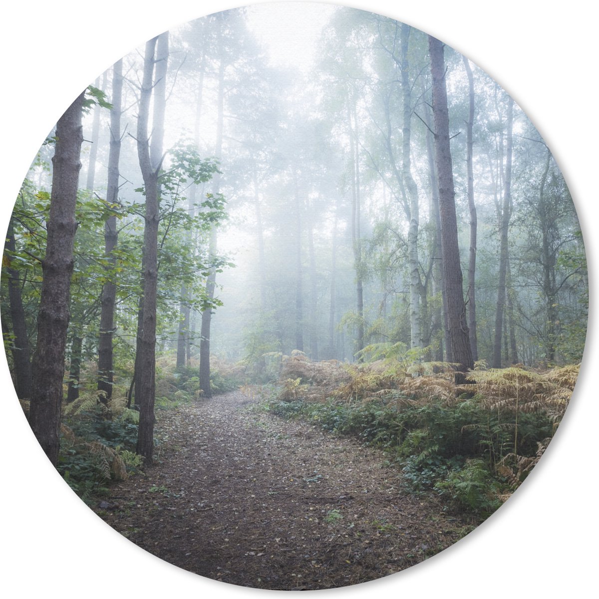 Muismat rond 40x40 cm - Mousepad Bos - Mist - Pad - Ronde muismatten