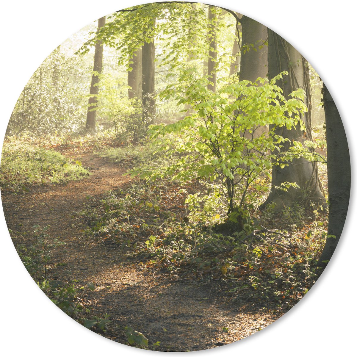 Muismat rond 30x30 cm - Mousepad Bos - Bomen - Pad - Zon - Planten - Bladeren - Natuur - Ronde muismatten