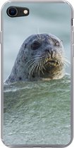 Geschikt voor iPhone 7 hoesje - Noordzee - Zeehond - Water - Siliconen Telefoonhoesje