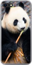 Geschikt voor iPhone 8 hoesje - Reuzepanda - Bamboe - Bladeren - Siliconen Telefoonhoesje
