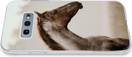 Coque Samsung Galaxy S10e - Cheval - Brume - Nature - Siliconen