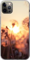 Geschikt voor iPhone 12 Pro Max hoesje - Paardenbloem - Zonsondergang - Lente - Siliconen Telefoonhoesje