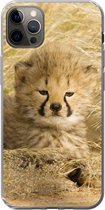 Geschikt voor iPhone 13 Pro Max hoesje - Cheeta - Jong - Gras - Siliconen Telefoonhoesje