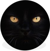 WallCircle - Wandcirkel ⌀ 90 - Close-up zwarte kat - Ronde schilderijen woonkamer - Wandbord rond - Muurdecoratie cirkel - Kamer decoratie binnen - Wanddecoratie muurcirkel - Woonaccessoires