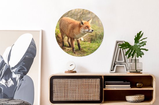 Papier Peint Cercle - Renard - Forêt - Lumière - 50x50 cm - Cercle Mural - Auto-Adhésif - Autocollant Papier Peint Rond