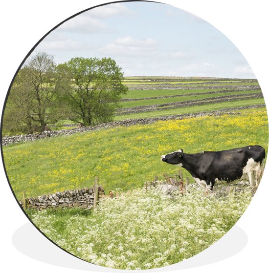 Cercle mural - Cercle mural - Vache - Fleurs - Animaux - Aluminium - ⌀ 90 cm - Intérieur et Extérieur