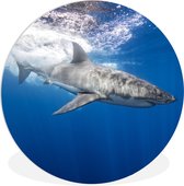 Wall Circle - Wall Circle Indoor - Requin - Mer - Water - ⌀ 120 cm - Décoration murale - Peintures Ronds XXL
