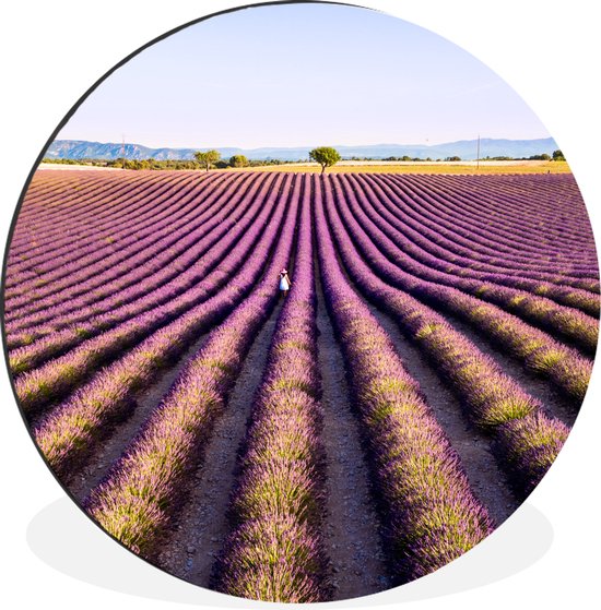WallCircle - Wandcirkel - Muurcirkel - Lavendelvelden in het de Provence van Frankrijk - Aluminium - Dibond - ⌀ 60 cm - Binnen en Buiten