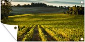 Tuinposter Toscane - Landschap - Wijn - 80x40 cm - Wanddecoratie Buiten - Tuinposter - Tuindoek - Schuttingposter - Tuinschilderij