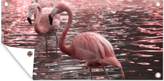Tuinposter 80x40 cm - Tuindecoratie Een groep flamingo's staat in het water - Poster voor in de tuin - Buiten decoratie - Schutting tuinschilderij - Tuindoek muurdecoratie - Wanddecoratie balkondoek
