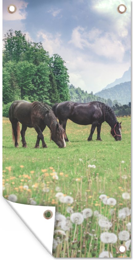 Tuinposter Paarden - Bloemen - Berg - 30x60 cm - Tuindoek - Buitenposter