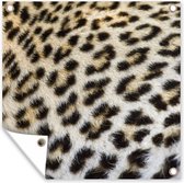 Posters de jardin Close-up fourrure léopard - 50x50 cm - Toile jardin - Poster extérieur