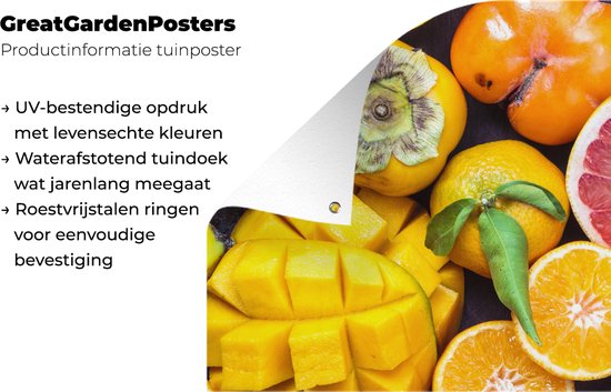 Tuinposter 160x80 cm - Tuindecoratie Fruit - Regenboog - Kleuren - Poster voor in de tuin - Buiten decoratie - Schutting tuinschilderij - Tuindoek muurdecoratie - Wanddecoratie balkondoek
