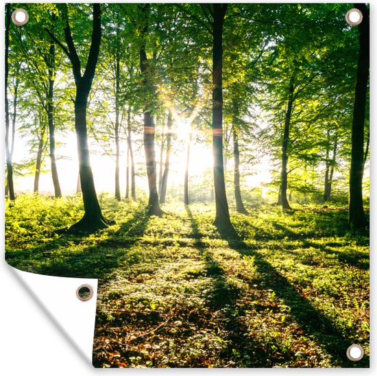 Tuin poster Doorbrekende zon in de bossen van het Nationaal park Söderåsen in Zweden – 200×200 cm
