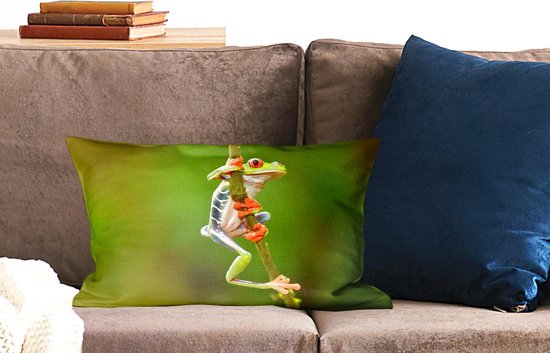Sierkussen Jungle Residents pour intérieur - Agalychnis callidryas in the jungle - 50x30 cm - coussin intérieur rectangulaire en coton