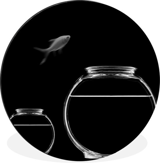 WallCircle - Wandcirkel - Muurcirkel - Goudvis springt uit aquarium op een zwarte achtergrond - zwart wit - Aluminium - Dibond - ⌀ 60 cm - Binnen en Buiten