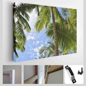 Palmbomen op een strand in de Caribische Zee. Punta Cana. Saona Island - Modern Art Canvas - Horizontaal - 1923071363