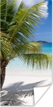 Poster Tropische palmen op het strand - 60x120 cm