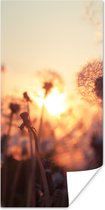 Poster Paardenbloem - Zonsondergang - Lente - 20x40 cm