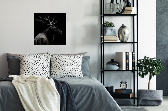 Poster Cerf - Zwart - Wit - Bois - 50x50 cm
