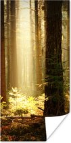 Affiche Forêt - Arbres - Soleil - 80x160 cm