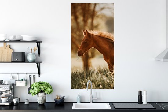 Affiche Cheval - Lumière - Prairie - 60x120 cm