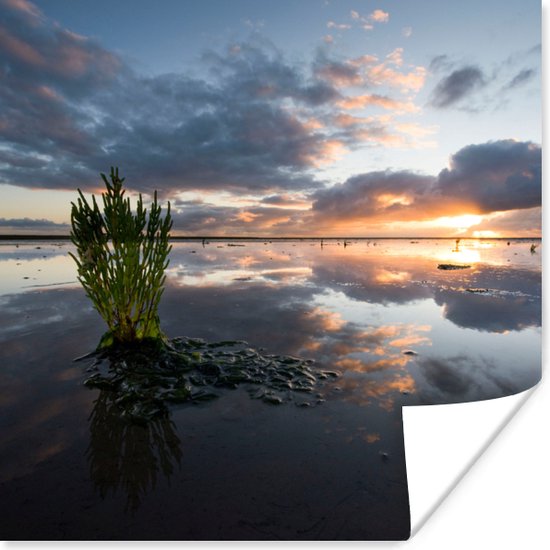 Poster Zee - Waddeneilanden - Lucht - 30x30 cm