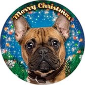 Plenty gifts xmas led light puppies assorti