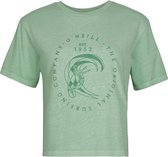 O'Neill T-Shirt Beach Wash Ss - Frosty Green - M