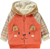 Baby/peuter jas jongens - Babykleding