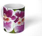 Mok - Wilde orchidee - 350 ML - Beker