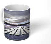 Mok - Tulpenvelden bij de Keukenhof in Holland - 350 ML - Beker