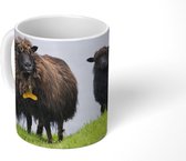 Mok - Schapen - Bruin - Zee - 350 ML - Beker