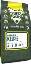 Yourdog australische kelpie pup - 3 kg - 1 stuks