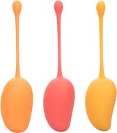Kegel Training Set Mango