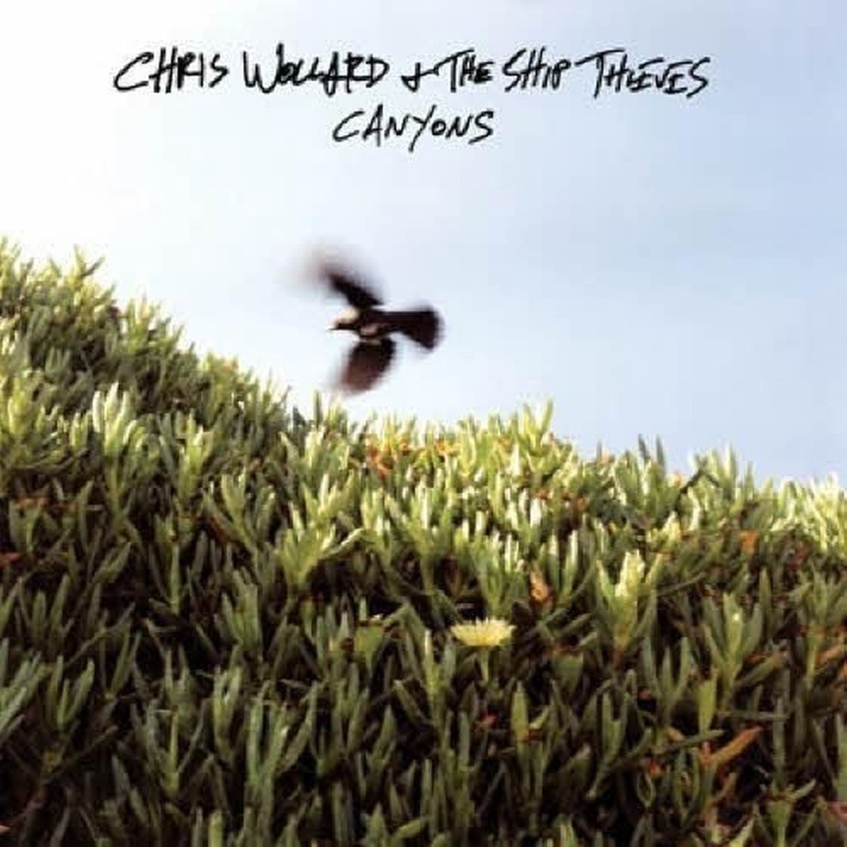 Chris Wollard & The Ship Thieves - Canyons (CD)